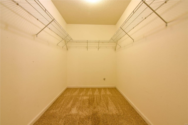 spacious closet with carpet floors