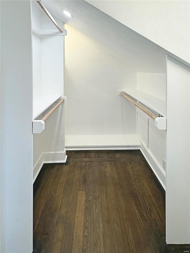 spacious closet featuring dark wood-type flooring