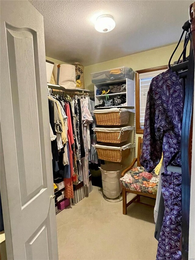 walk in closet with light colored carpet