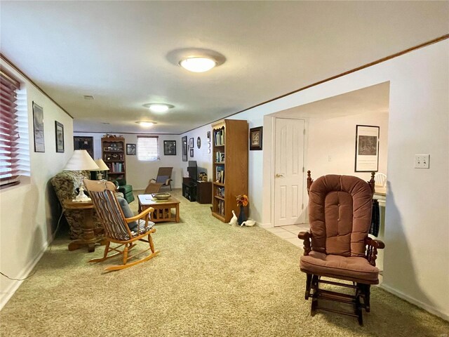 sitting room with carpet floors