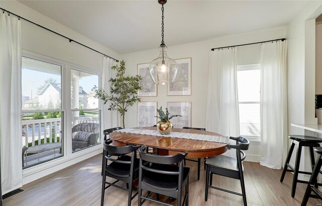 dining room featuring hardwood / wood-style floors and plenty of natural light