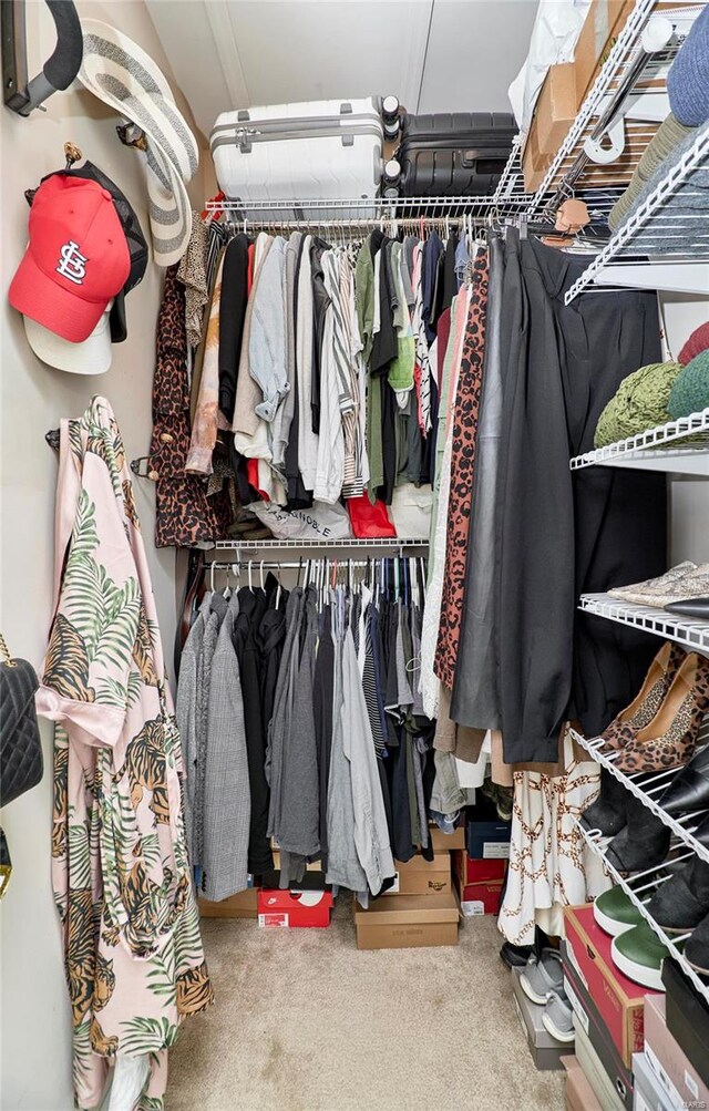 walk in closet featuring carpet floors