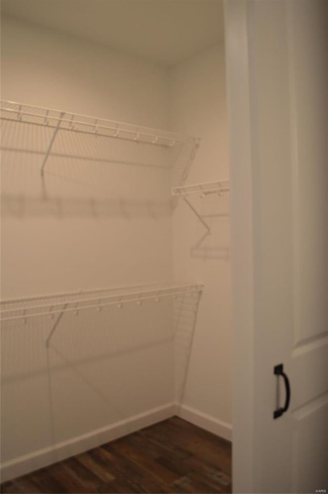 spacious closet featuring dark hardwood / wood-style floors