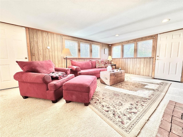 carpeted living room with a textured ceiling and wood walls