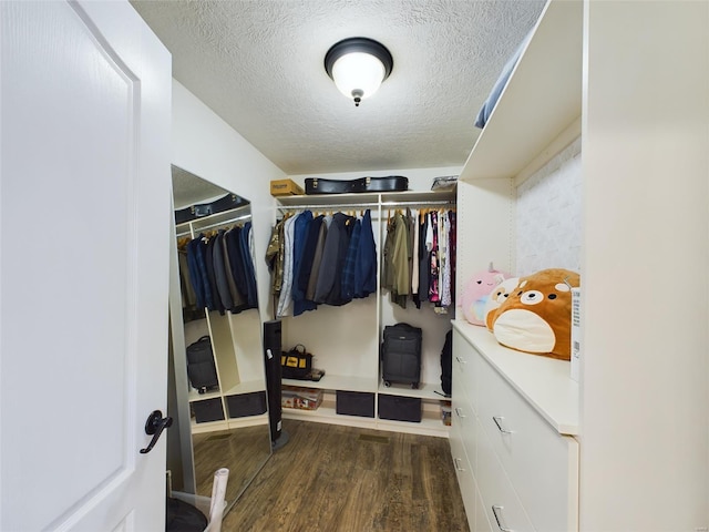 walk in closet with dark hardwood / wood-style flooring