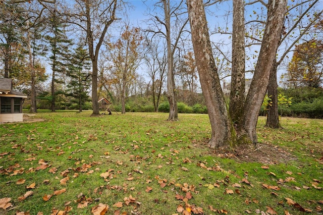 view of yard