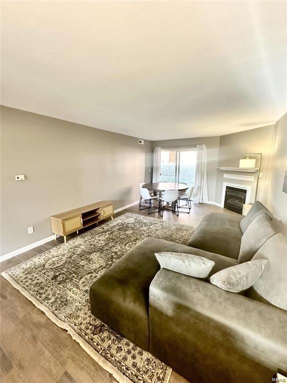 living room featuring wood-type flooring