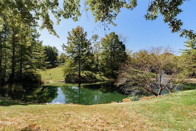 view of water feature