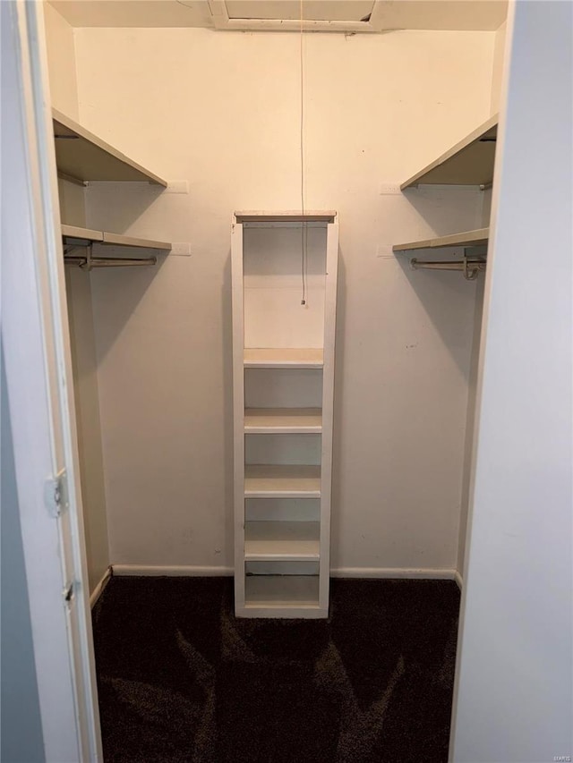 spacious closet featuring carpet