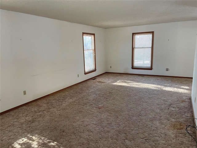 spare room featuring a wealth of natural light and carpet