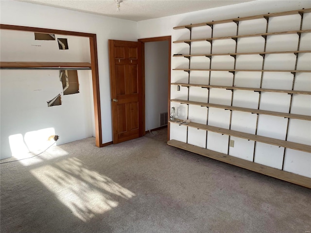 interior space with carpet floors, a textured ceiling, and a closet