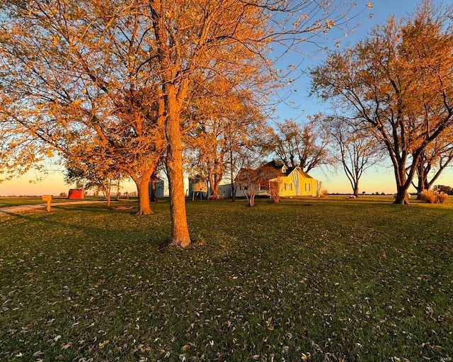 view of yard at dusk