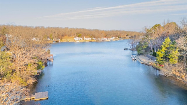 property view of water