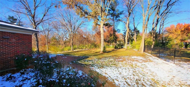 view of yard covered in snow