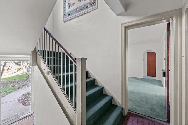 stairway featuring carpet flooring