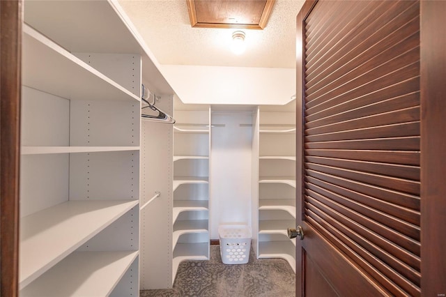 walk in closet with carpet