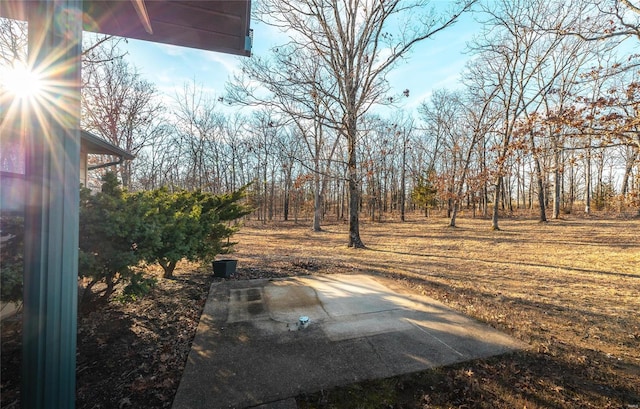 view of yard with a patio area