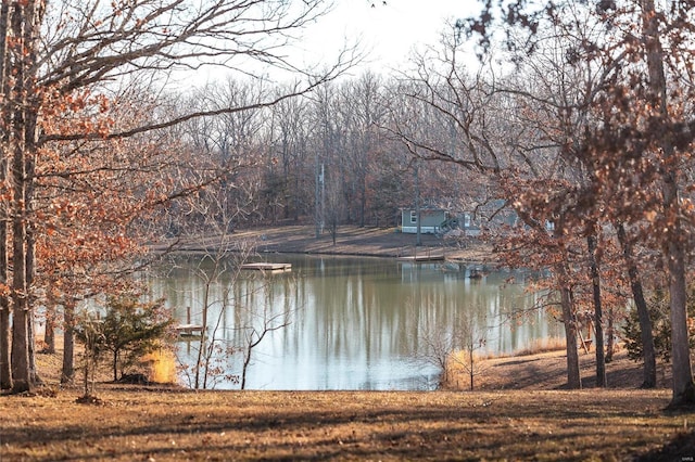 view of water feature