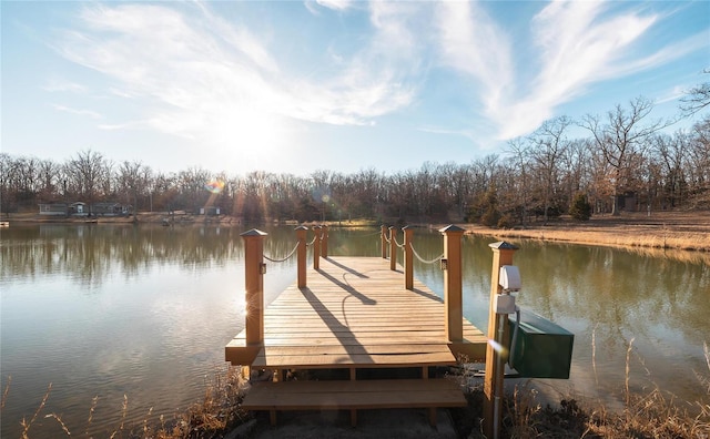 dock area with a water view