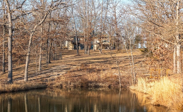 view of nature featuring a water view