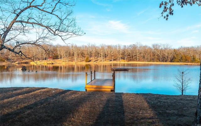 dock area with a water view