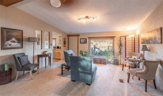 carpeted living room featuring lofted ceiling and a textured ceiling