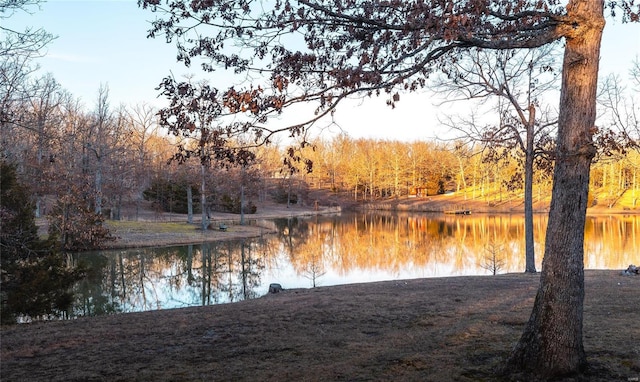 property view of water