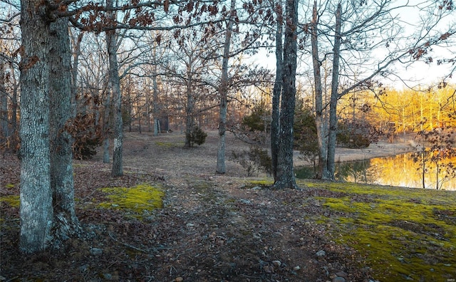 view of local wilderness featuring a water view