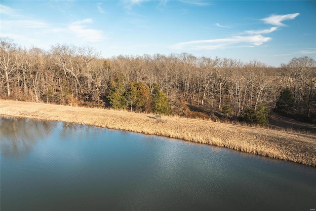 property view of water