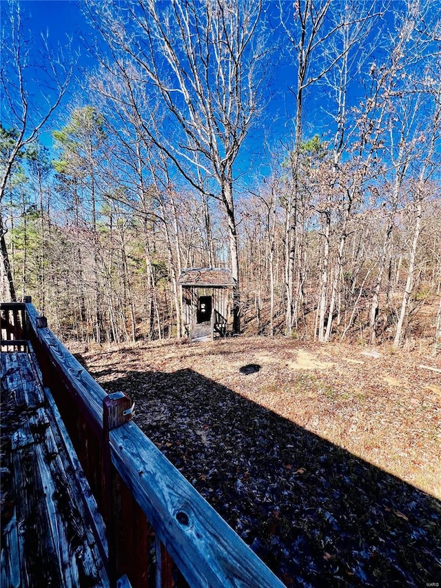 view of yard with a shed