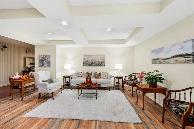 living room featuring a raised ceiling and wood-type flooring