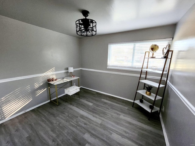 miscellaneous room featuring dark wood-type flooring