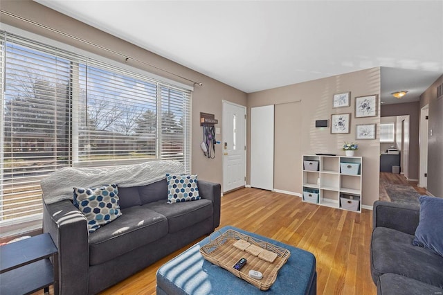 living room with hardwood / wood-style flooring