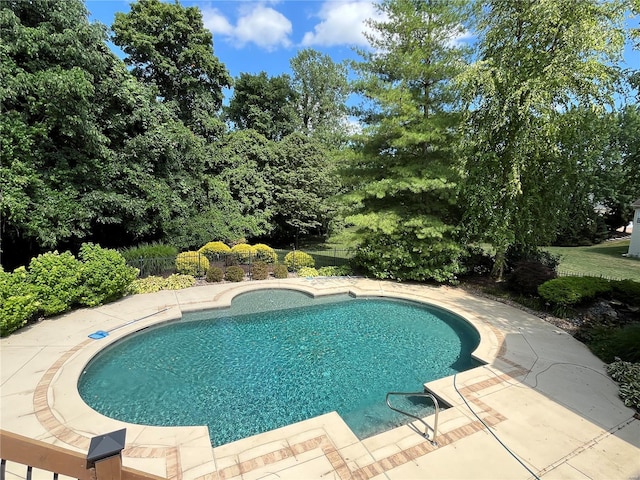 view of pool with a patio area