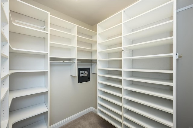 spacious closet featuring carpet floors