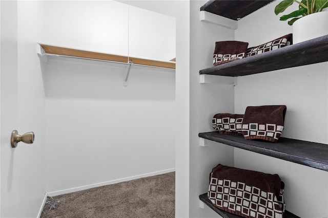 walk in closet featuring carpet