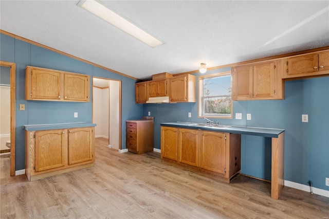 kitchen featuring sink, crown molding, a textured ceiling, vaulted ceiling, and light wood-type flooring