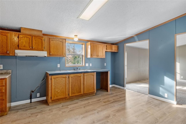 kitchen featuring light hardwood / wood-style floors, a textured ceiling, and ornamental molding