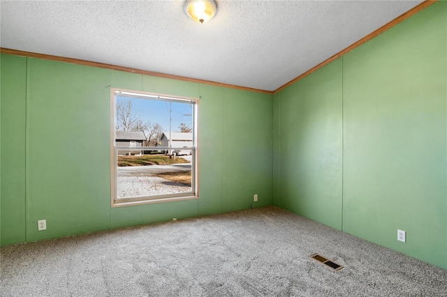 carpeted empty room featuring crown molding and a textured ceiling