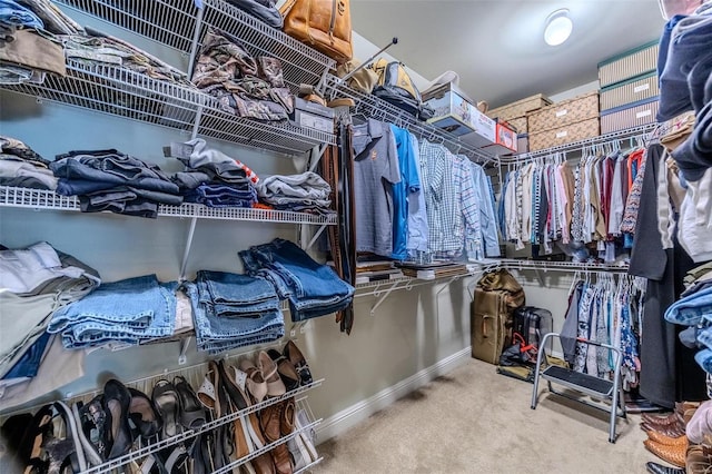 spacious closet with carpet