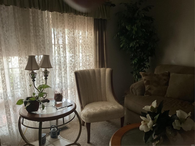 sitting room with carpet floors