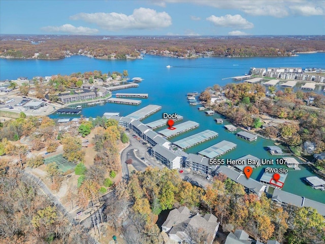 aerial view with a water view