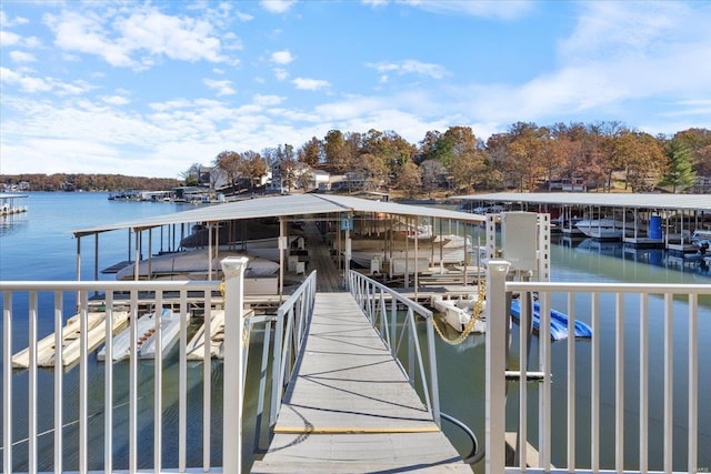 dock area with a water view