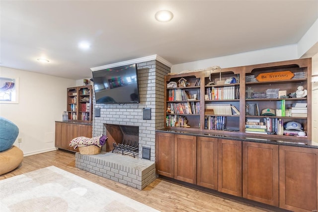 interior space featuring a fireplace and light hardwood / wood-style floors