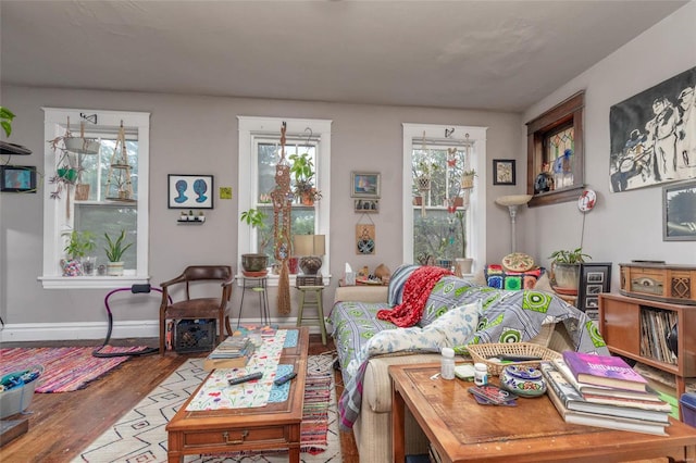 living room featuring hardwood / wood-style floors