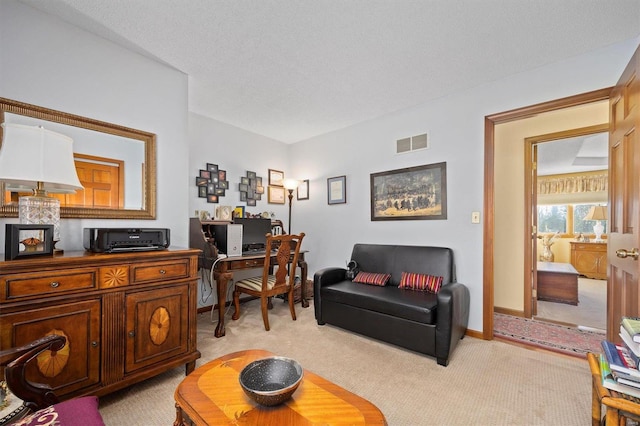 interior space with light colored carpet and a textured ceiling