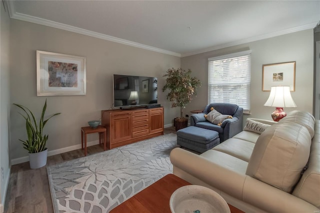 living room featuring hardwood / wood-style floors and crown molding