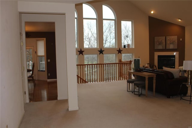 additional living space featuring carpet floors and high vaulted ceiling