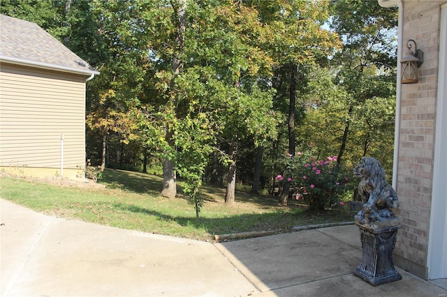 view of yard featuring a patio area