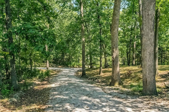 view of road